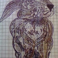 Портфолио Дмитрий